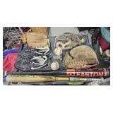 Baseball Set - 2 Bats, 3 Gloves, Niki Shoes