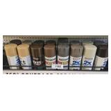 MISC BROWN SPRAY PAINT