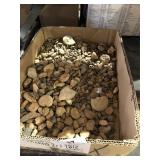 Large Box of Small Fossils