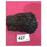 Fossilized Burnt Wood