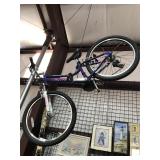 Schwinn Bike