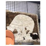 Bear Rug