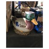 Mallard Duck on Nest