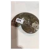 Polished Fossil Ammonite