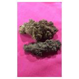 2 Pieces of Dinosaur Poop