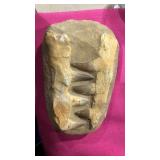 Fossil Sharks Teeth in Rock