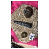 Flat Stone w/ Fossil Orthoceras & Ammonite