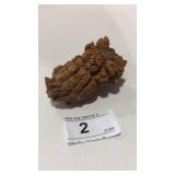 Fossilized Dinosaur Poop -  Coprolites