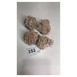 4 Pieces of Desert Rose