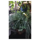 Faux Tree and Plants