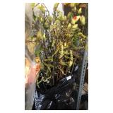 Faux Tall Plant Stalks