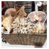 Basket of Sea Shells