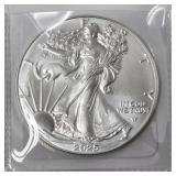 2025 Silver American Eagle 1 Oz .999 Fine Silver