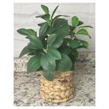 Decorative Woven Basket w/ Artificial Plant