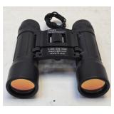 Fisher Investments 10x25 Compact Binoculars