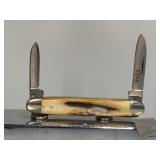 (SC) Case XX U.S.A. (1978) 2 Dot Senator Pen Stag