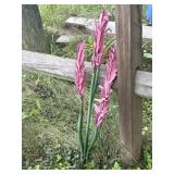 33" Metal Flower Yard Decor