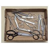 Assorted Scissors