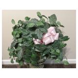 Artificial Nerve Plant - Fittonia ï¿½White Anneï¿½