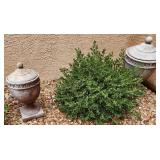K - LOT OF 2 OUTDOOR DECOR URNS
