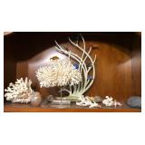 O - TROPICAL FISH DISPLAY, CORAL CLUSTERS (A91)