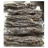 43 - NEW WMC LOT OF PRESERVED BANANA STEMS (A142)