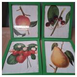 11 - SET OF 4 FRAMED FRUIT PRINT WALL DECOR (N16)