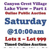 Part 1 - Henderson 'Lake View' Estate Auction@10am