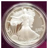 700 - 1989 AMERICAN EAGLE SILVER DOLLAR (E165)