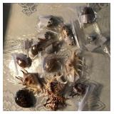 T - LOT OF COLLECTIBLE SHELLS (L138)