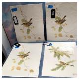 43 - WILDLIFE PRINTS (D249)