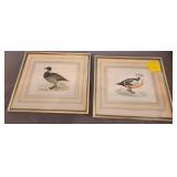 F - TWO PIECES FRAMED ART 16X19' (L41)