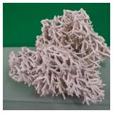 11 - CLUSTER OF CORAL (L54)