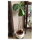 M - PLANTER POT WITH PLANT 48"T (L13)