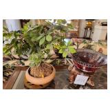 V - PLANT & POT & CENTERPIECE BOWL (A26)