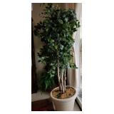 F - FAUX TREE IN PLANTER POT 8' TALL(A119)