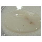 7.22CT OPAL GEMSTONE
