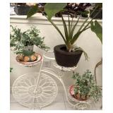 Q - BICYCLE PLANT STAND WITH PLANTS (L31)