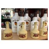 Q - LOT OF TEN BOTTLES (C13)