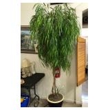 Z - FAUX TREE IN PLANTER POT 8'T (K113)