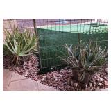 Z - OUTDOOR PLANTS IN POTS