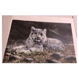 Z - CHARLES FRACE UNFRAMED ART (S254)