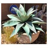 Z - FAUX PLANT IN POT