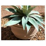 Z - FAUX PLANT IN POT