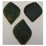 3 CARVED JADE PENDANTS (W13)