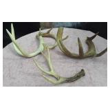 487 - ASSORTMENT NATURAL ANTLERS(G383)