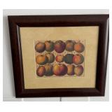 801 - FRAMED ART 18X21"