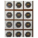 POKER TRAINIG CASINO CHIPS (411 C)