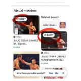 N - JULIO CESAR CHAVEZ AUTOGRAPHED PHOTO WITH COA