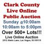 Sun.@10am - Las Vegas Estate Online Public Auction 4/26